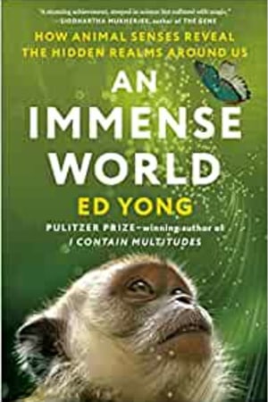 An Immense World: How Animal Senses Reveal the Hidden Realms Around Us book cover