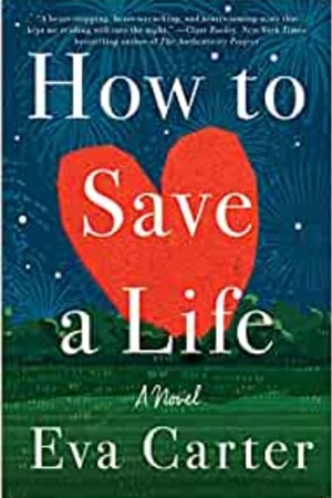 How to Save a Life: A Novel - book cover