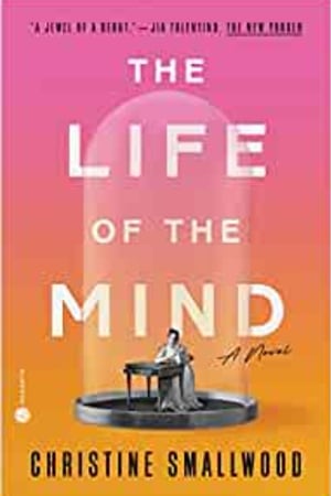 The Life of the Mind: A Novel - book cover