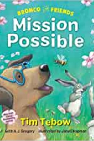 Bronco and Friends: Mission Possible - book cover