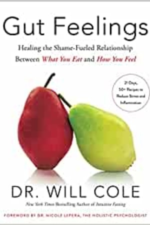 Gut Feelings: Healing the Shame-Fueled Relationship Between What You Eat and How You Feel (Goop Press) book cover