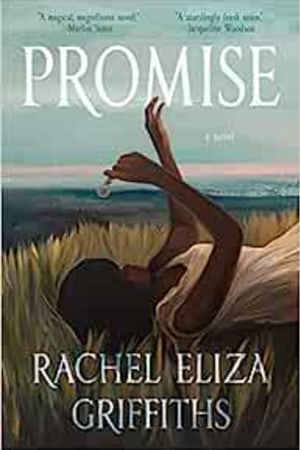 Promise: A Novel book cover