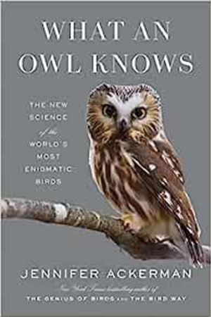 What an Owl Knows: The New Science of the World's Most Enigmatic Birds - book cover