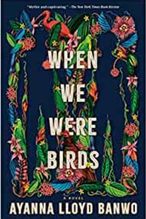 When We Were Birds: A Novel book cover