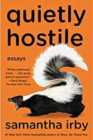 Quietly Hostile: Essays - book cover