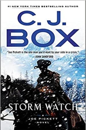 Storm Watch (A Joe Pickett Novel) - book cover