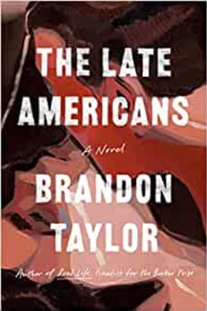 The Late Americans: A Novel book cover