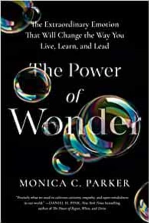 The Power of Wonder: The Extraordinary Emotion That Will Change the Way You Live, Learn, and Lead - book cover