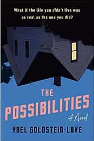 The Possibilities: A Novel book cover