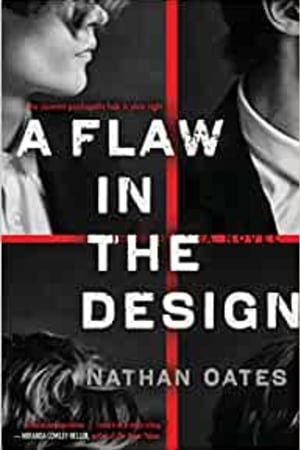 A Flaw in the Design: A Novel book cover