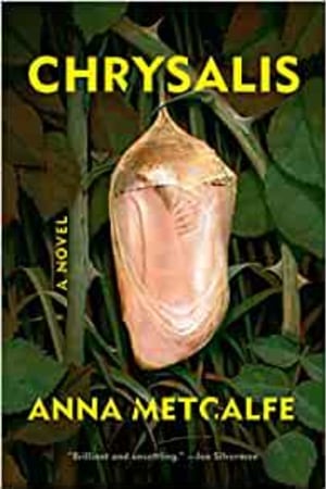 Chrysalis: A Novel book cover