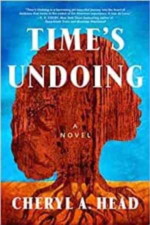 Time's Undoing: A Novel - book cover