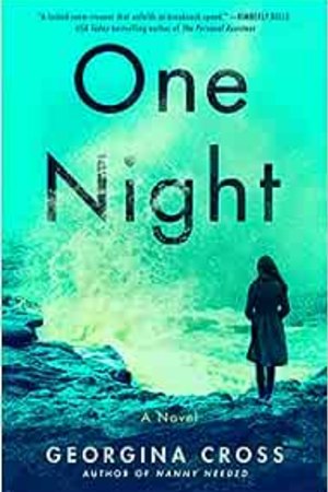 One Night: A Novel - book cover