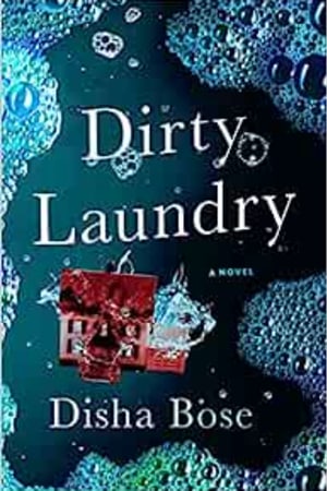 Dirty Laundry: A Novel - book cover