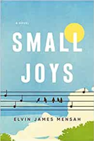 Small Joys: A Novel book cover