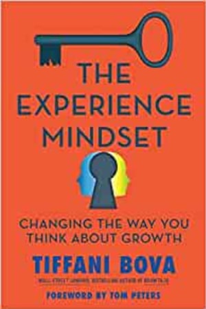 The Experience Mindset: Changing the Way You Think About Growth - book cover