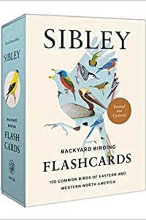 Sibley Backyard Birding Flashcards, Revised and Updated: 100 Common Birds of Eastern and Western North America - book cover