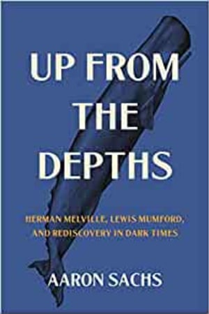 Up from the Depths: Herman Melville, Lewis Mumford, and Rediscovery in Dark Times book cover