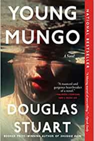 Young Mungo - book cover