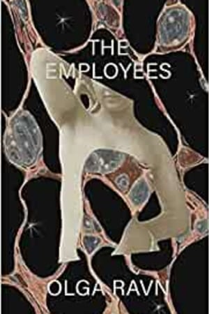 The Employees: A workplace novel of the 22nd century - book cover