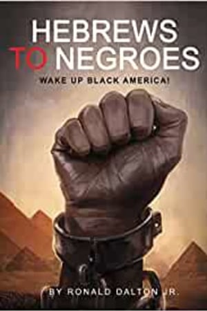 HEBREWS TO NEGROES: WAKE UP BLACK AMERICA! book cover