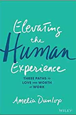 Elevating the Human Experience: Three Paths to Love and Worth at Work - book cover