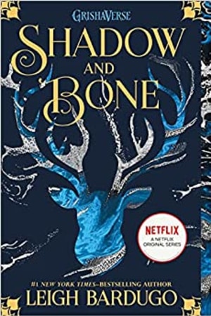 Shadow and Bone (The Shadow and Bone Trilogy, 1) - book cover