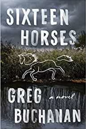 Sixteen Horses: A Novel - book cover