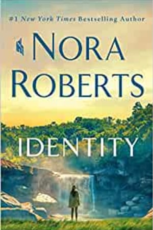 Identity: A Novel - book cover