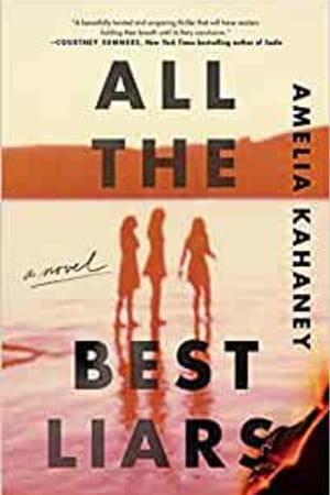 All the Best Liars: A Novel book cover