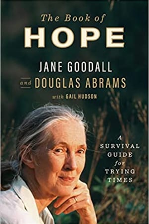 The Book of Hope: A Survival Guide for Trying Times (Global Icons Series) - book cover