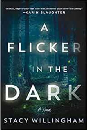 A Flicker in the Dark: A Novel book cover