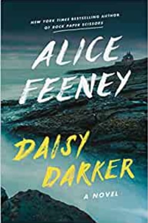 Daisy Darker: A Novel book cover