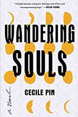 Wandering Souls: A Novel book cover