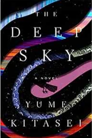 The Deep Sky: A Novel book cover