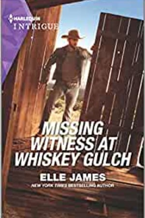 Missing Witness at Whiskey Gulch (The Outriders Series, 5) book cover