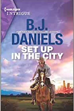 Set Up in the City (A Colt Brothers Investigation, 4) - book cover