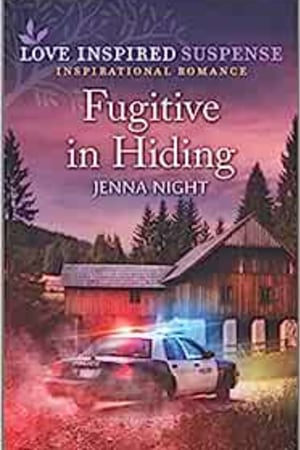 Fugitive in Hiding (Range River Bounty Hunters, 4) - book cover