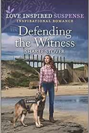 Defending the Witness (Love Inspired Suspense) book cover