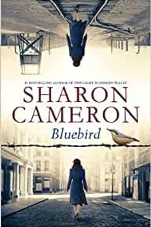 Bluebird book cover