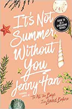 It's Not Summer Without You book cover