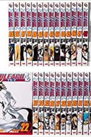 Bleach Box Set 2: Volumes 22-48 with Premium (Bleach Box Sets) book cover