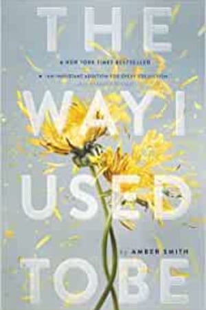 The Way I Used to Be - book cover