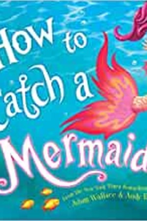 How to Catch a Mermaid book cover