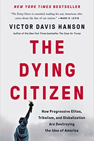 The Dying Citizen: How Progressive Elites, Tribalism, and Globalization Are Destroying the Idea of America book cover