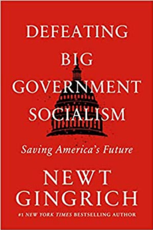 Defeating Big Government Socialism: Saving America's Future - book cover