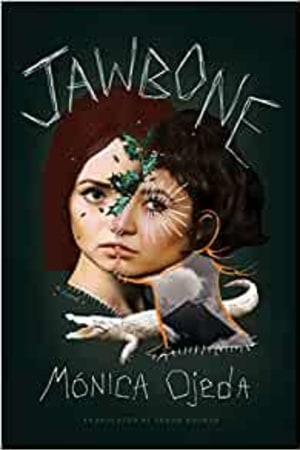 Jawbone book cover