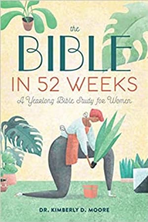 The Bible in 52 Weeks: A Yearlong Bible Study for Women - book cover