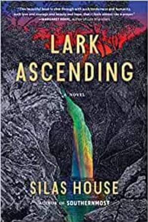 Lark Ascending book cover