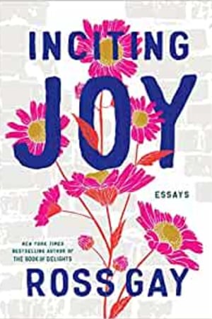 Inciting Joy: Essays - book cover